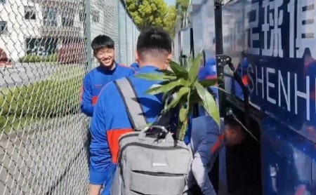 沪媒：杨旭背的盆栽名为“开运竹”，是非常吉利的植物