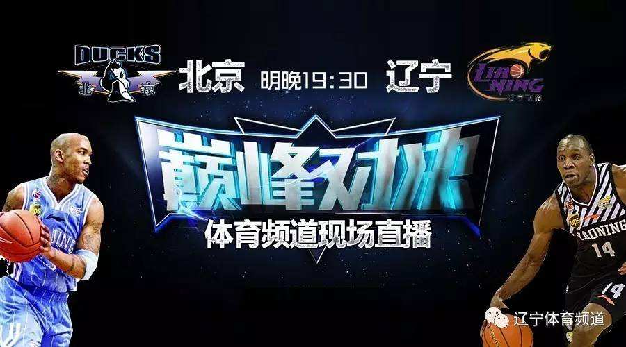 体育频道在线直播「cctv5体育频道在线直播」