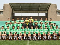 杭州绿城足球队「杭州绿城足球队冲超成功」