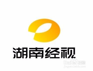湖南电视台「湖南电视台副台长」