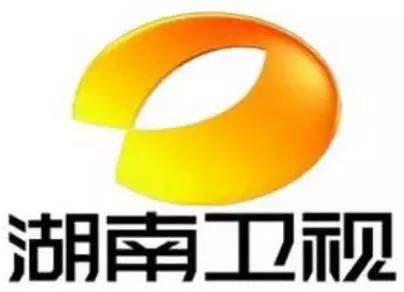湖南电视台「湖南电视台副台长」