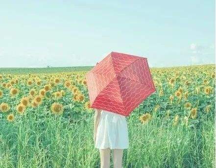 孙铭辉「孙铭辉在干什么呢」