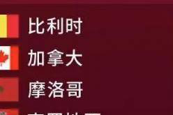 2022卡塔尔世界杯巡礼之F组：各队头牌都有谁？