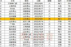 泰山队赛程解读 未来7轮6个客场 9月连续对阵三镇海港