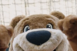 新赛季新气象 拜仁吉祥物伯尼熊有了新面貌