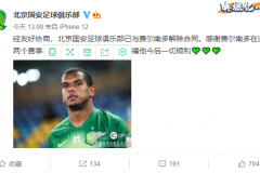 国安与费尔南多解约 下一站是俄罗斯还是土耳其？