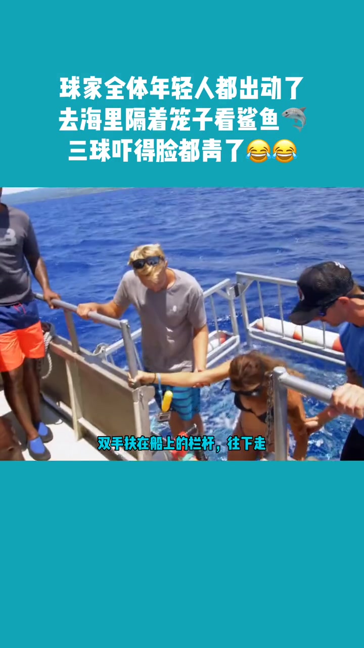 球家年轻人去海里隔笼看鲨鱼 三球被球嫂嘲笑是胆小鬼