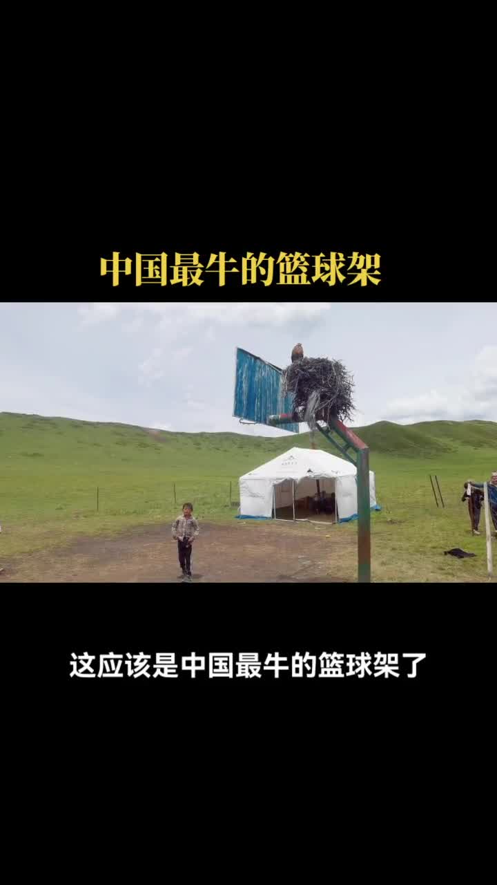 这么牛的篮球架你见过吗？鹰在架上筑巢还有一只小鹰