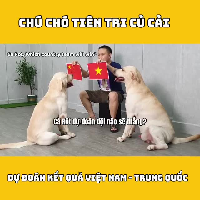越南网友用狗来预测中越之战胜负