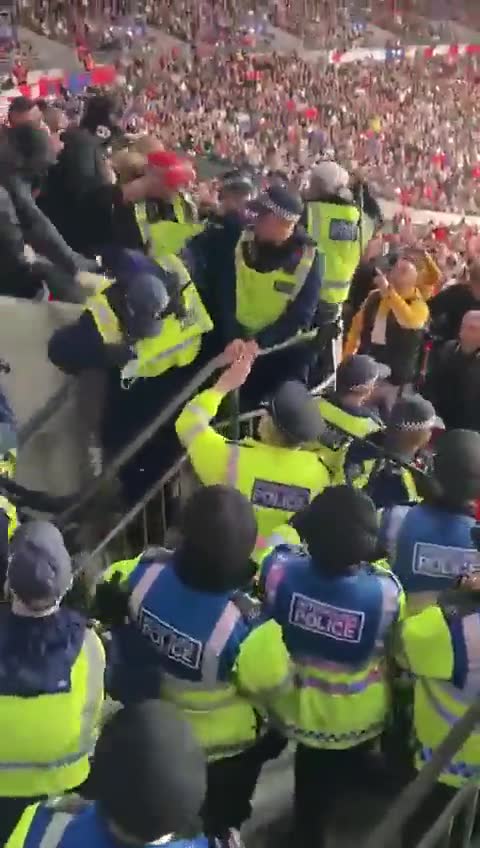 这战斗力不行啊！英格兰警察被匈牙利球迷推出看台