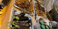 关欣:杜峰从新疆带来羊肉 为队员们改善伙食 备战总决赛