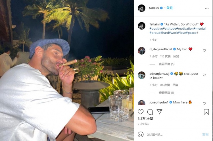 这是什么意思？费莱尼印文:如在 如无