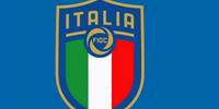 欧洲杯巡回赛(8)意大利:曼奇尼星光