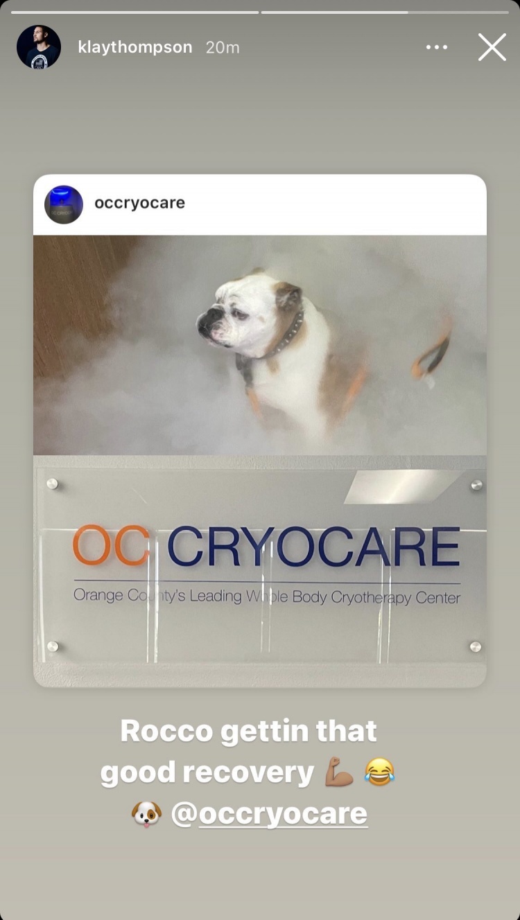 城会玩！克莱带爱犬Rocco体验冷冻理疗