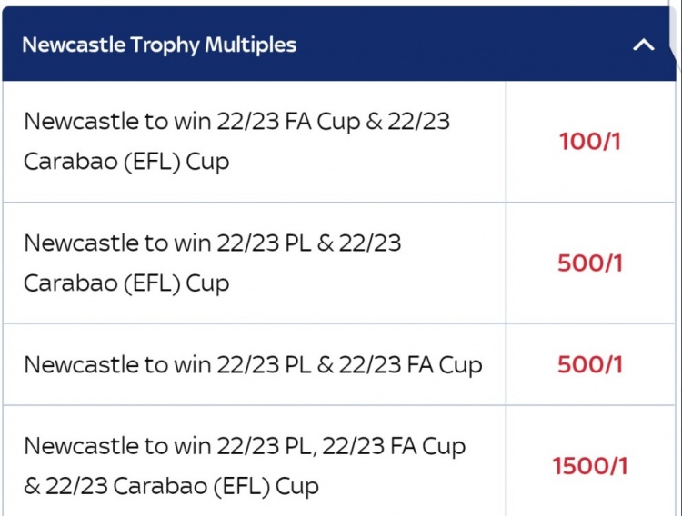 纽卡下赛季夺冠赔率：联赛杯赛双冠1赔500，国内三冠1赔1500