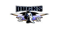 曝林书豪解除隔离 回归首钢日期敲定