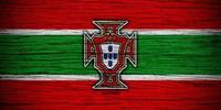 世预赛欧洲区葡萄牙VS卢森堡赛果分析 葡萄牙求胜欲望出奇强烈
