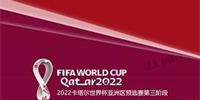 丹麦男足晋级世界杯 继德国后第2队收获2022世界杯门票