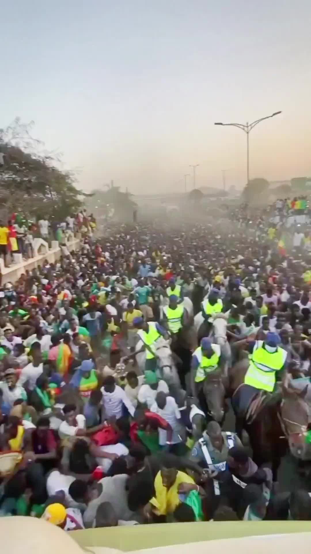 这里的足球很纯粹！人山人海庆祝塞内加尔夺非洲杯