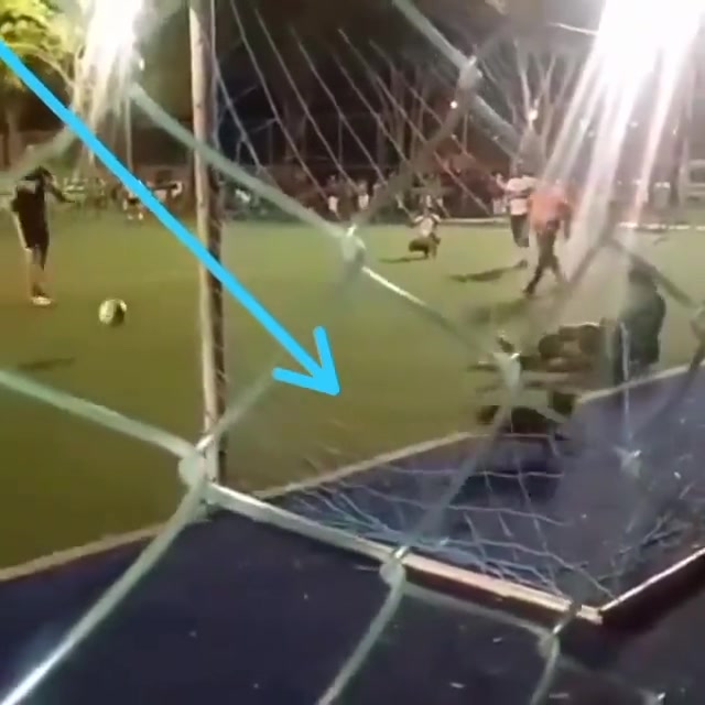 点球被一只狗子挡出该怎么算