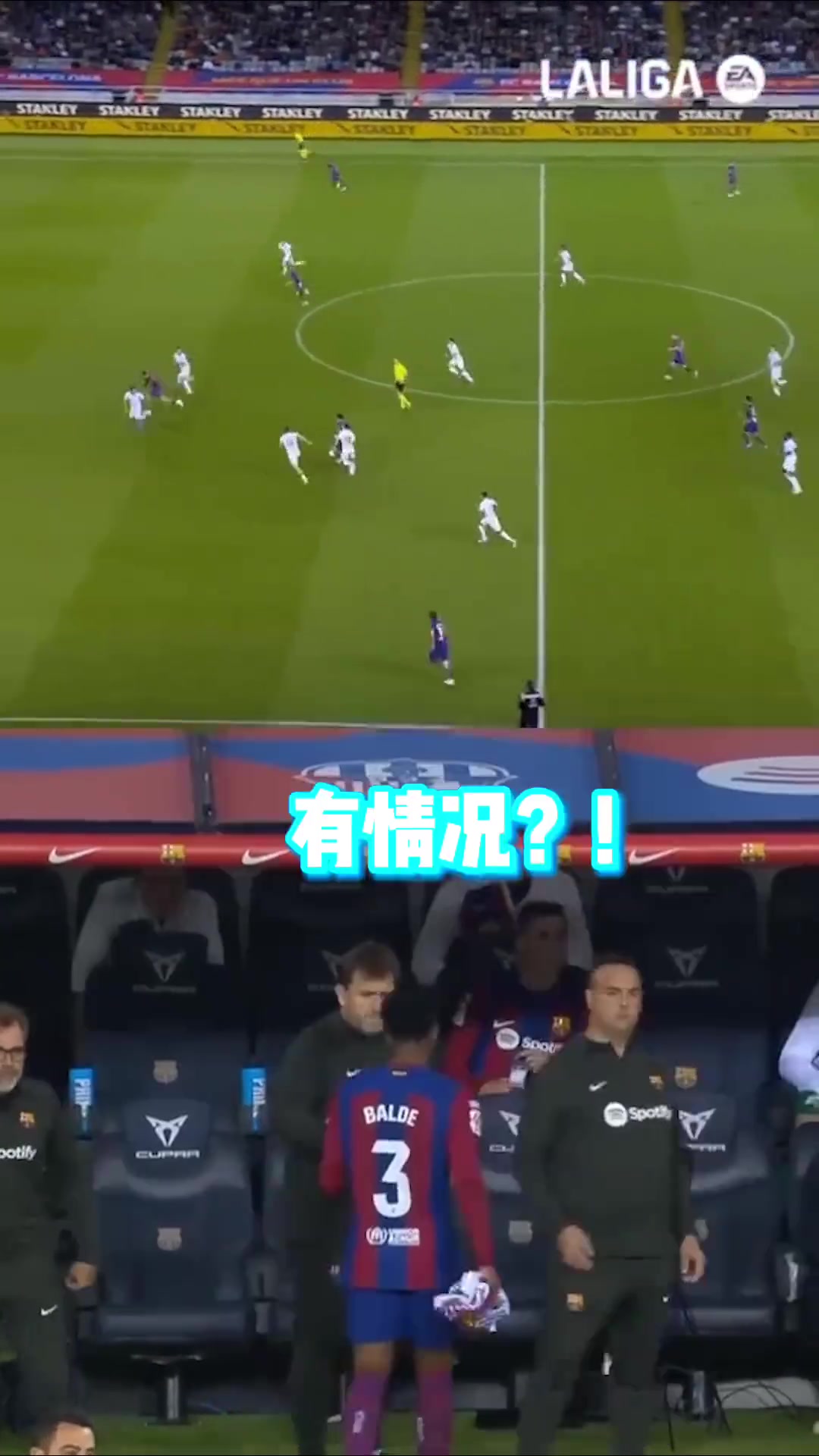 费尔明：我要起飞