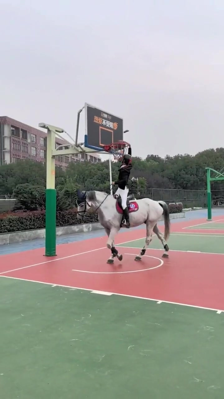约基奇梦想的打球方式