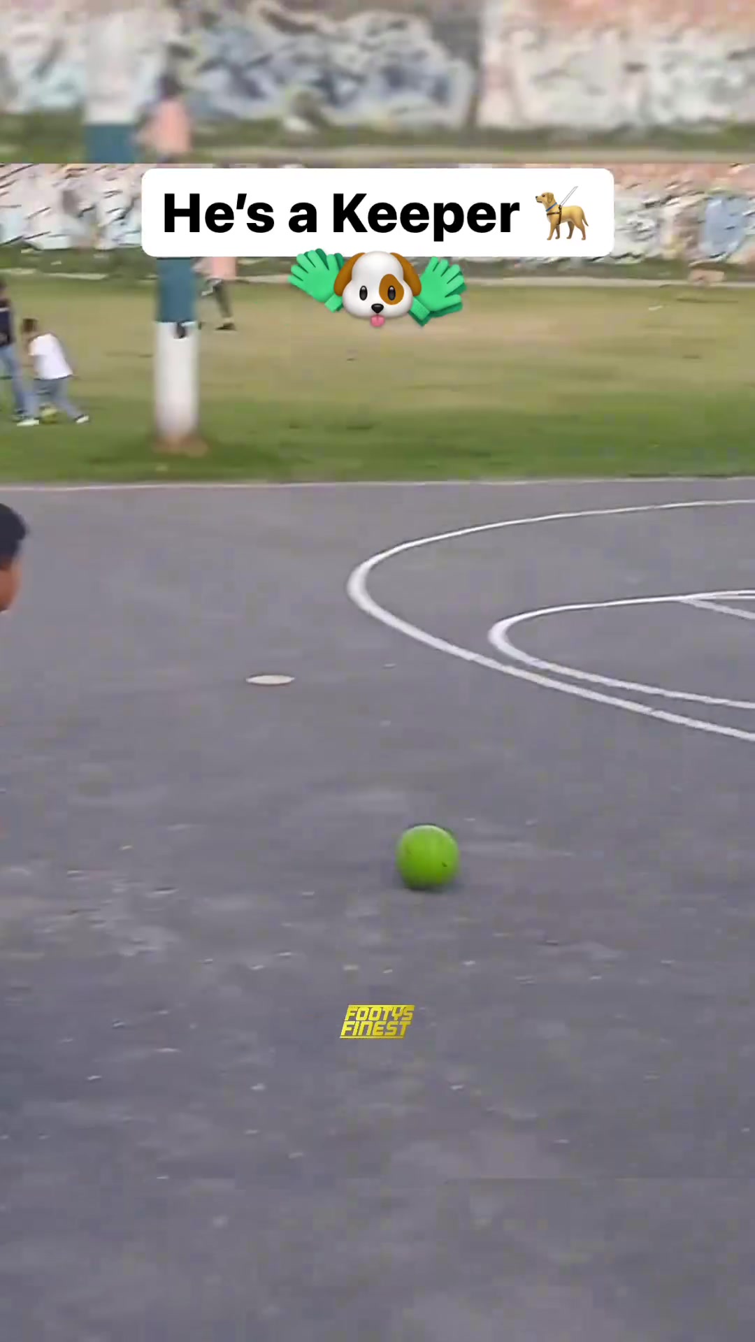 效果不错