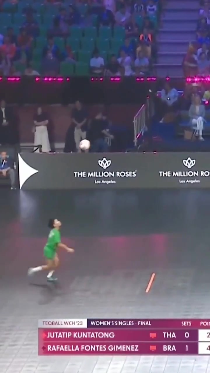 成功的结合了中国两个谁都打不过的项目