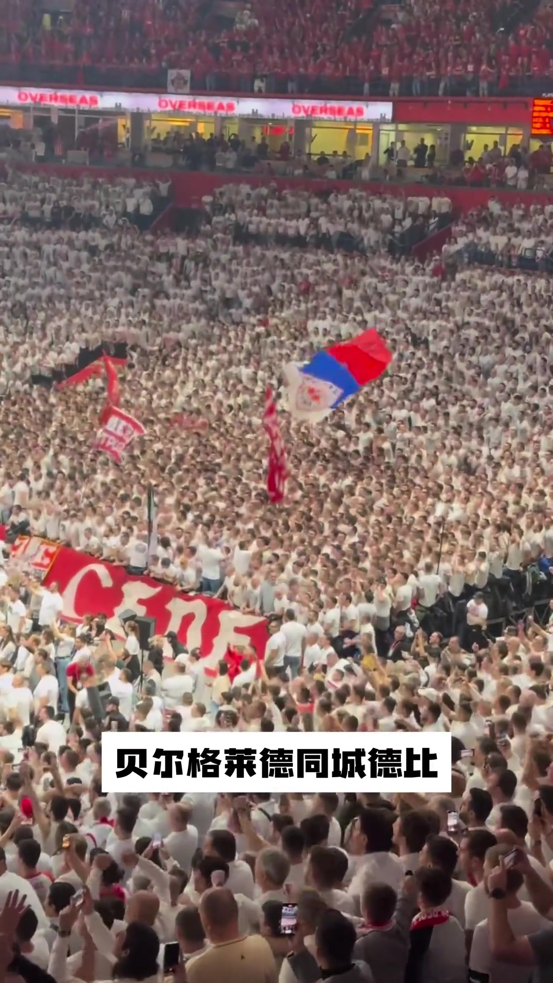 塞尔维亚篮球有多疯狂？感受一下贝尔格莱德德比的现场气氛