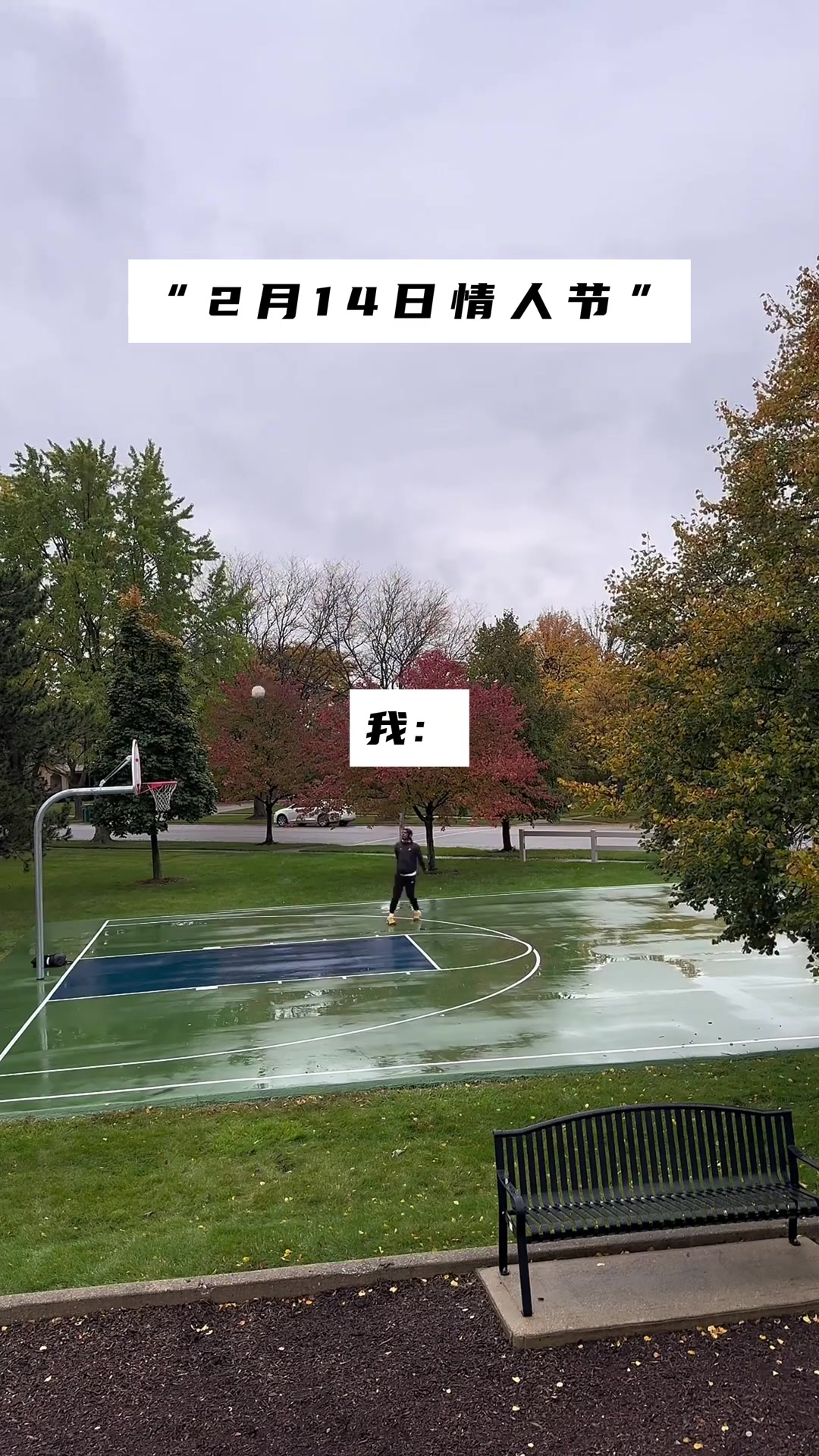 《女人可能会辜负你，但篮球不会》