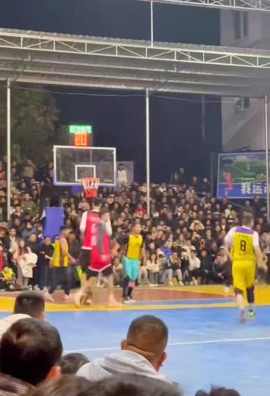 球场上遇到这么高的该怎么应对