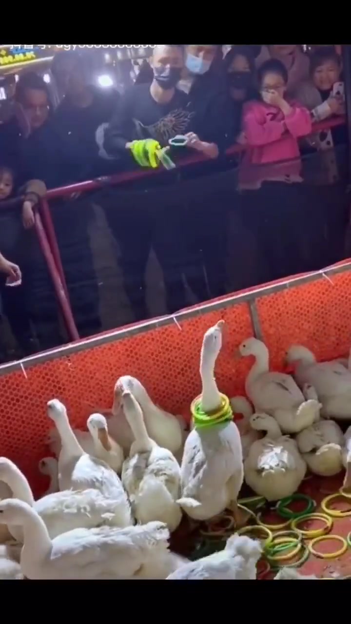 遇上两个拧种