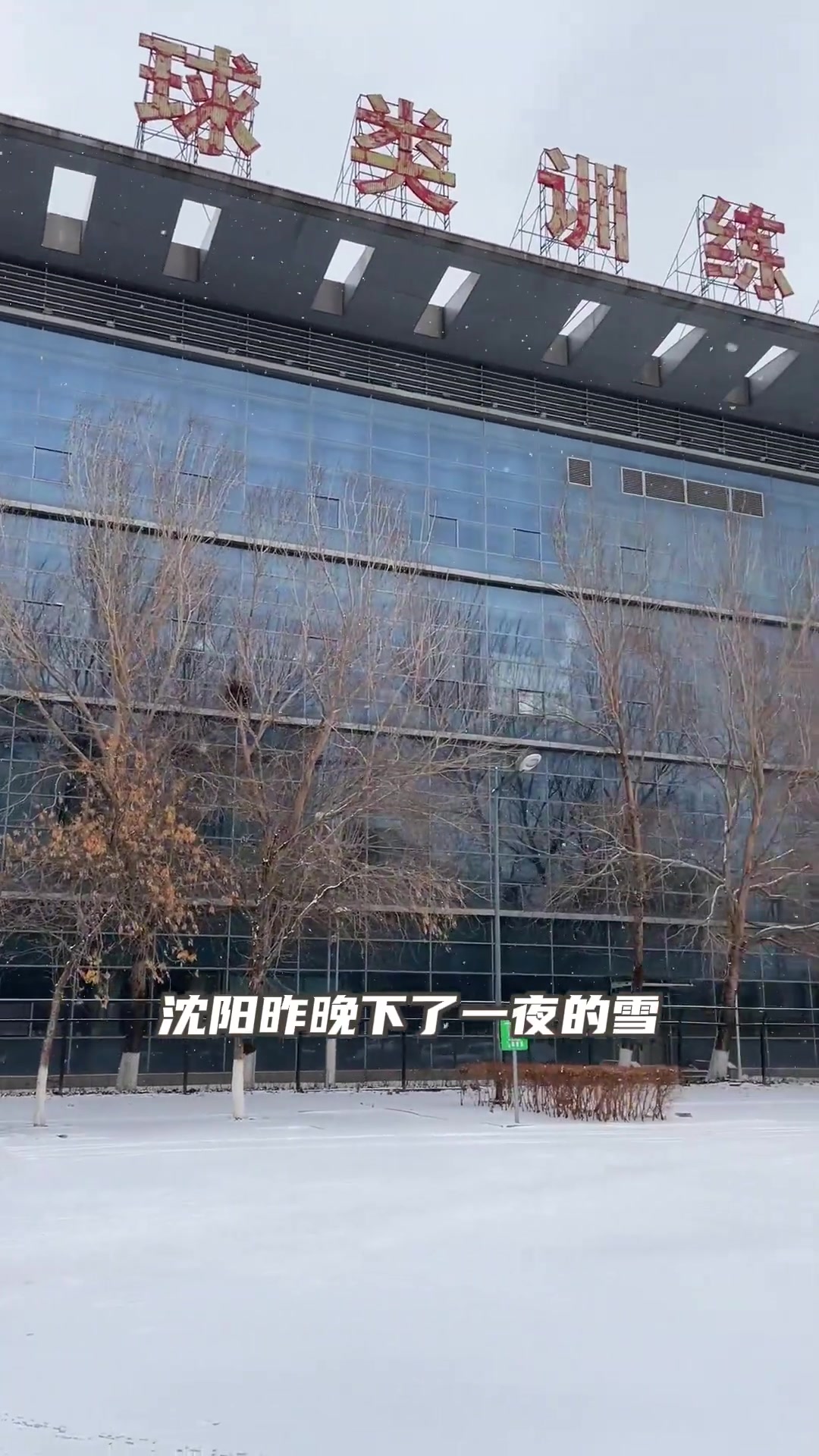 辽宁官网：教练组已全员集结！大家一起加油 冲击新的阶段！