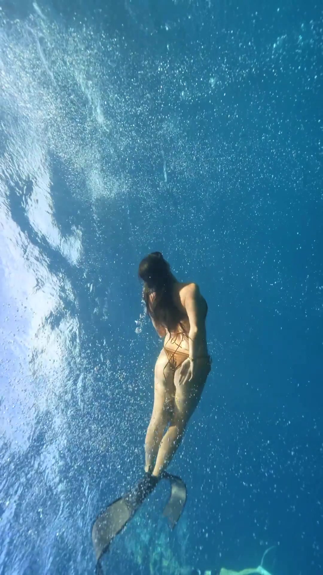 张曼源印度尼西亚潜水 海中与鱼群同游~