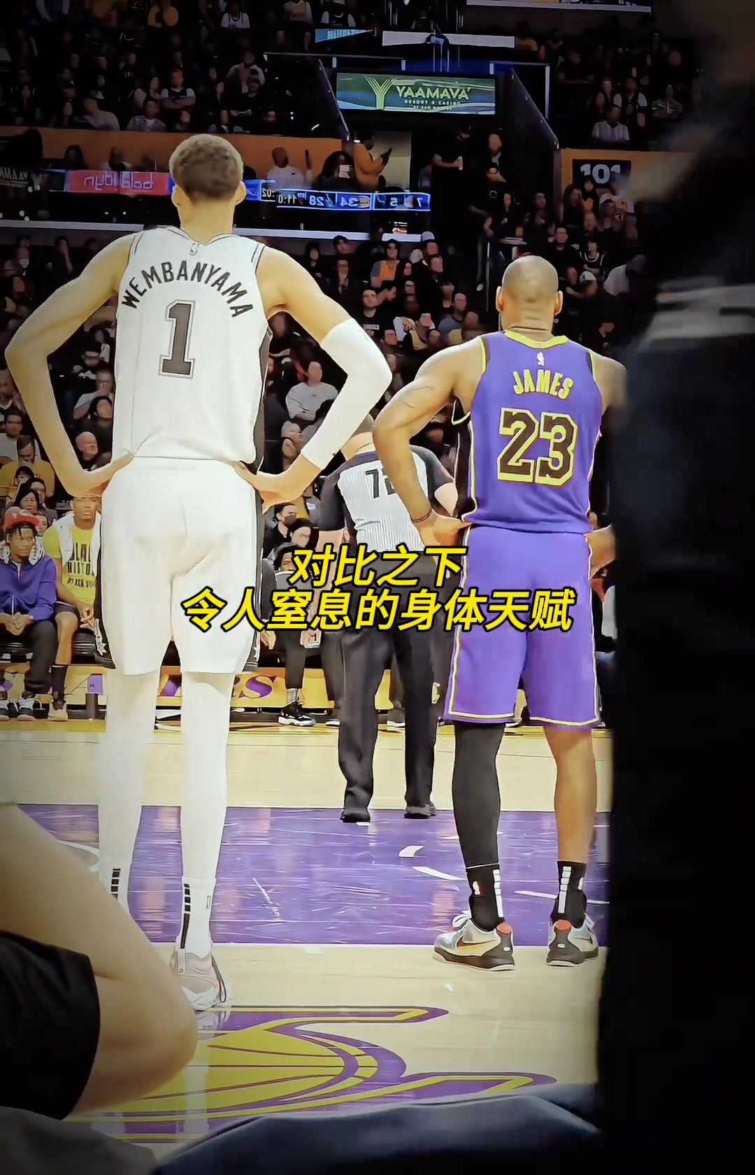 卧槽！文班与詹姆斯站在一起 这静态天赋看着都如此恐怖