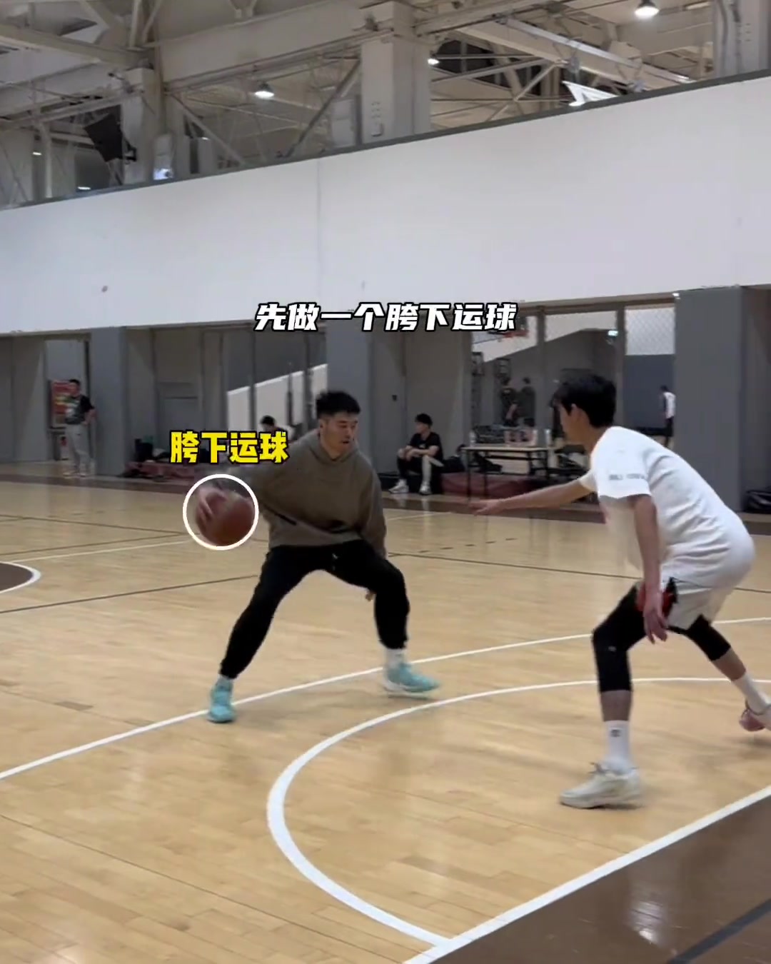 蓝蝶游云滑身步？原来是真的存在的