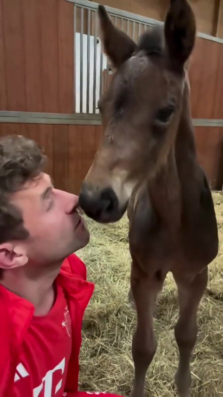 你是真的爱马仕！穆勒亲吻自家的新马驹