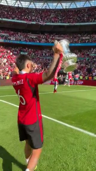 利桑德罗-马丁内斯高举奖杯，与球迷一起庆祝
