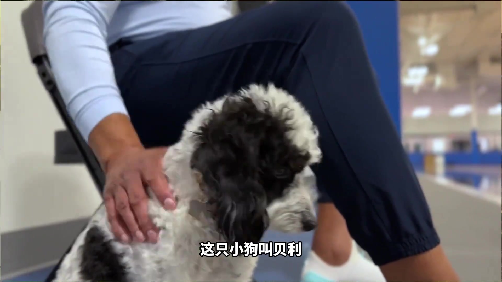一条狗也能进NBA教练组？你没看错！这才是有人情味的球队！