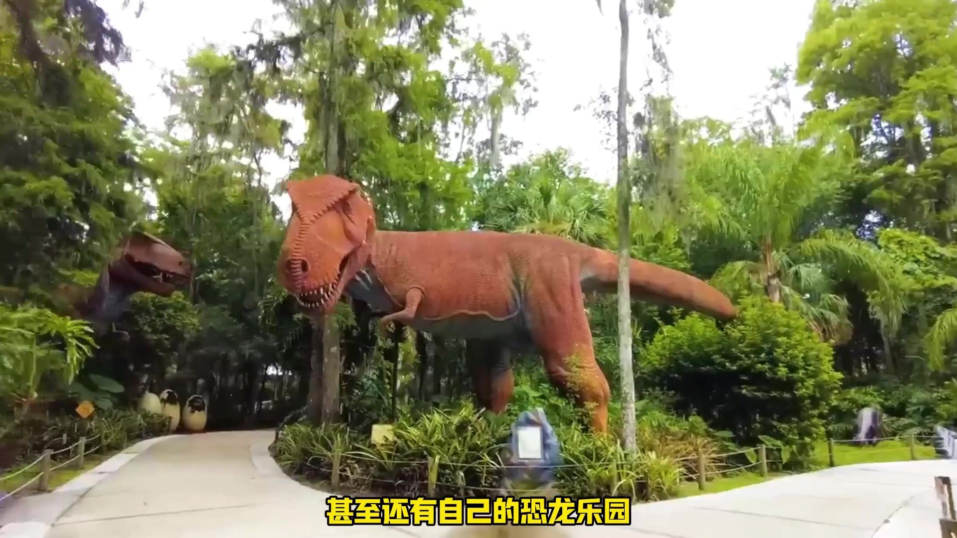 独行侠老板马克·库班拥有的最疯狂最昂贵的东西 ~