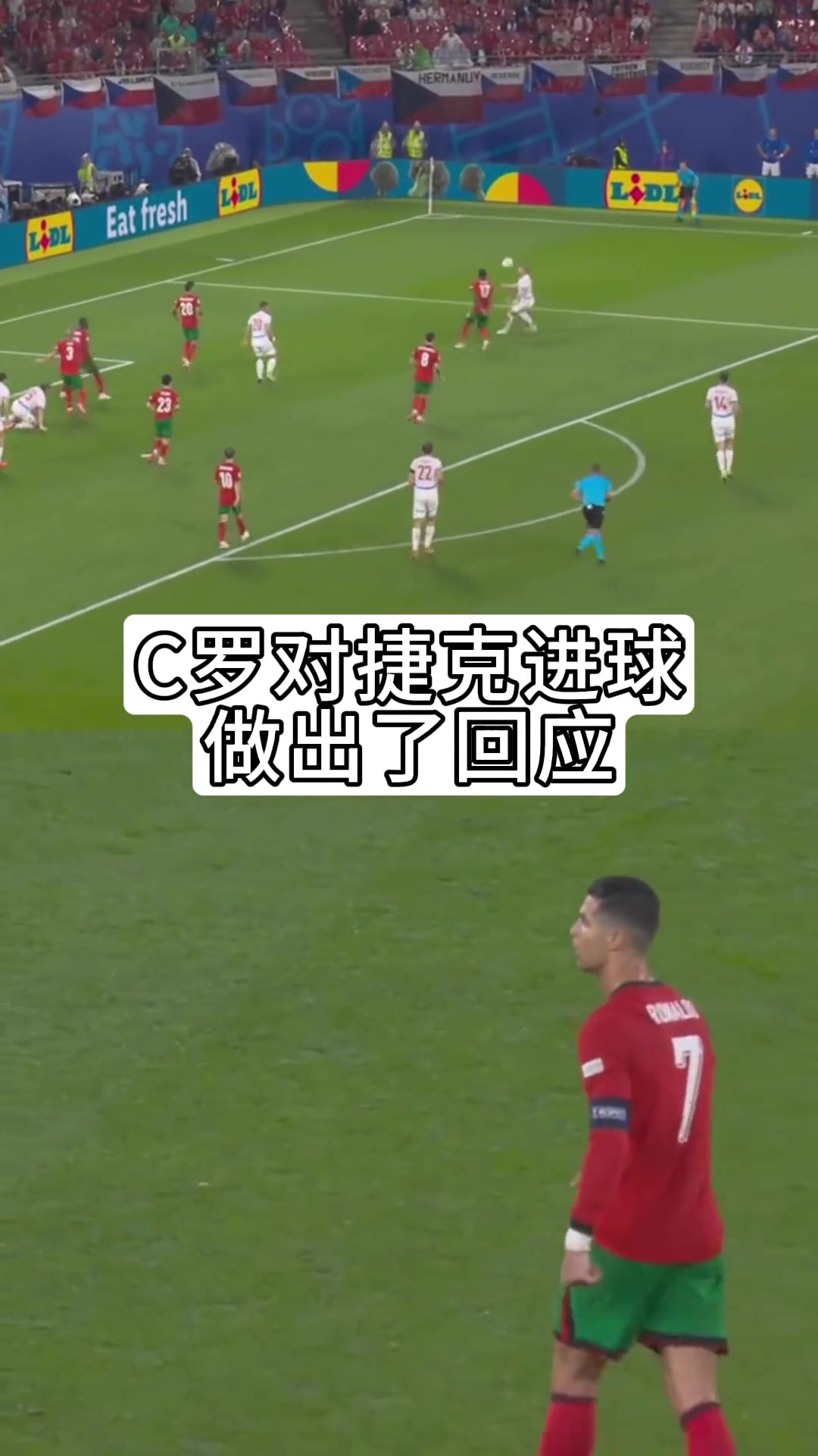 稳下来、别急、跟我走！C罗对捷克先进一球做出的回应