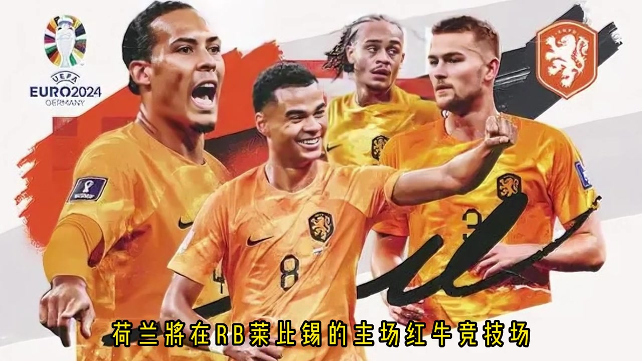 回顾一下荷兰与法国在欧洲杯的三次交手，战果如何？