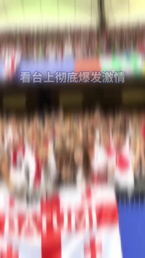 格鲁吉亚的点球罚进，看台上的球迷都嗨了