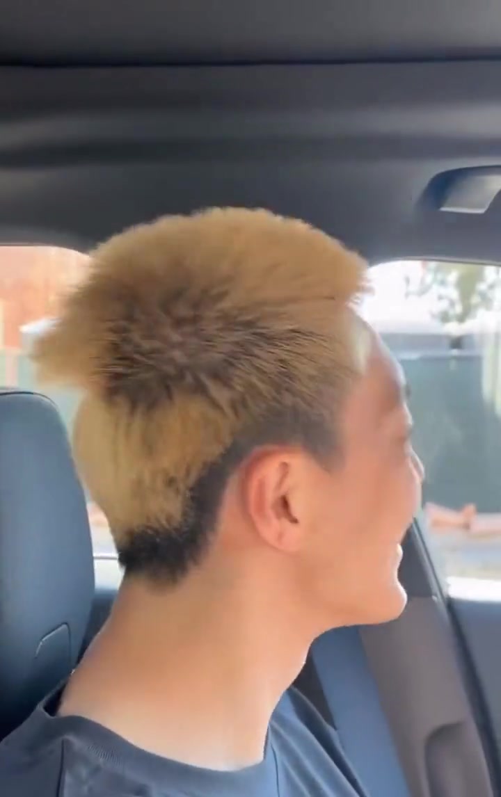 近距离看胡明轩的黄毛 压扁了不在意依然很开心