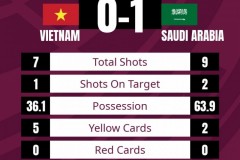 世预赛越南0-1沙特 沙特领先第二名6个积分