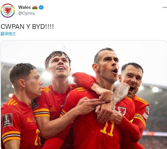 威尔士官推晒贝尔庆祝照：世界杯！！！