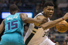 NBA常规赛雄鹿vs黄蜂比赛前瞻 雄鹿主场能否大胜黄蜂