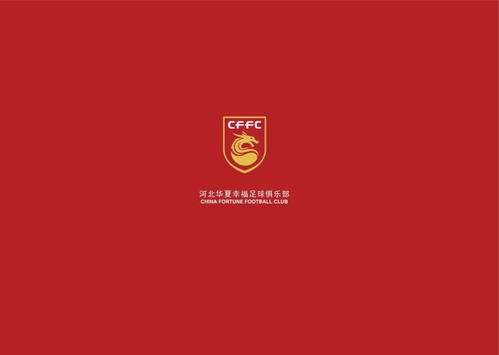 广东媒体:在各级政府的支持下 河北队大概率留在廊坊