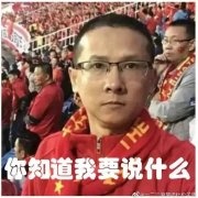 【评头论足】眼馋别人的世界杯