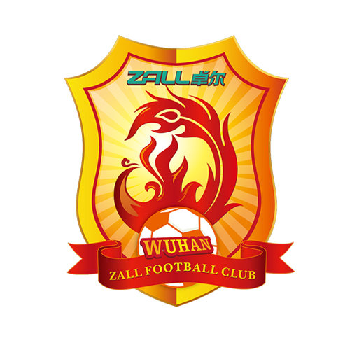 官方：武汉长江足球俱乐部宣布解散，不